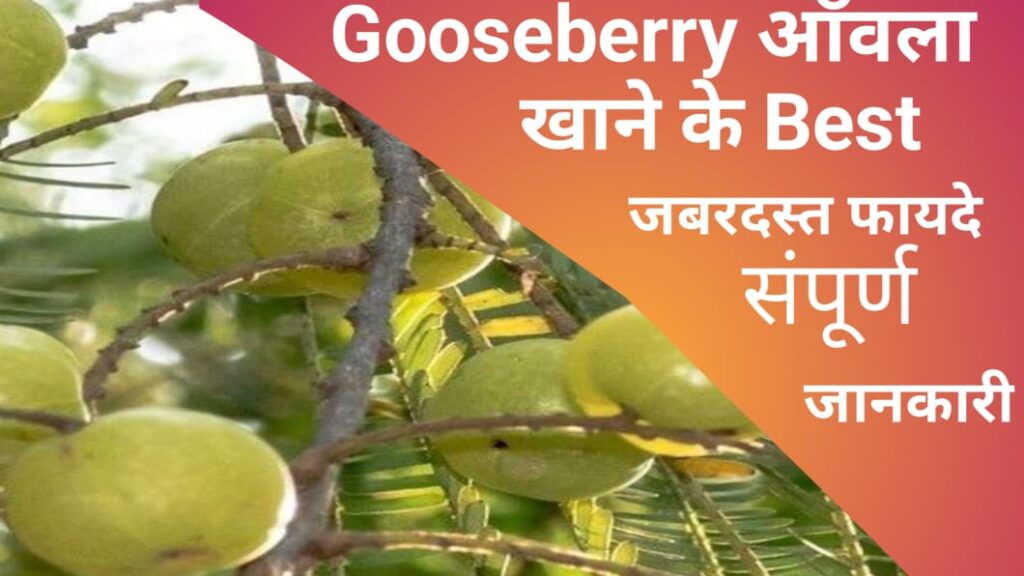Gooseberry