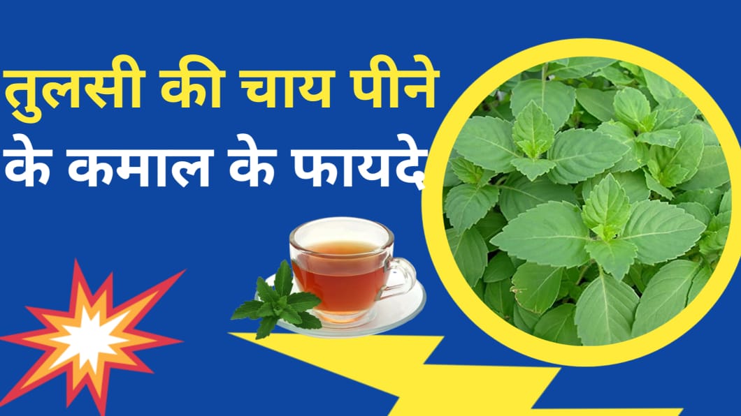Tulsi